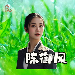 陈御风